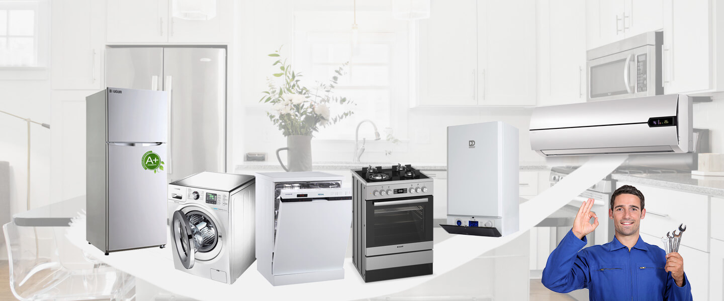 Rize Dominox Servisi